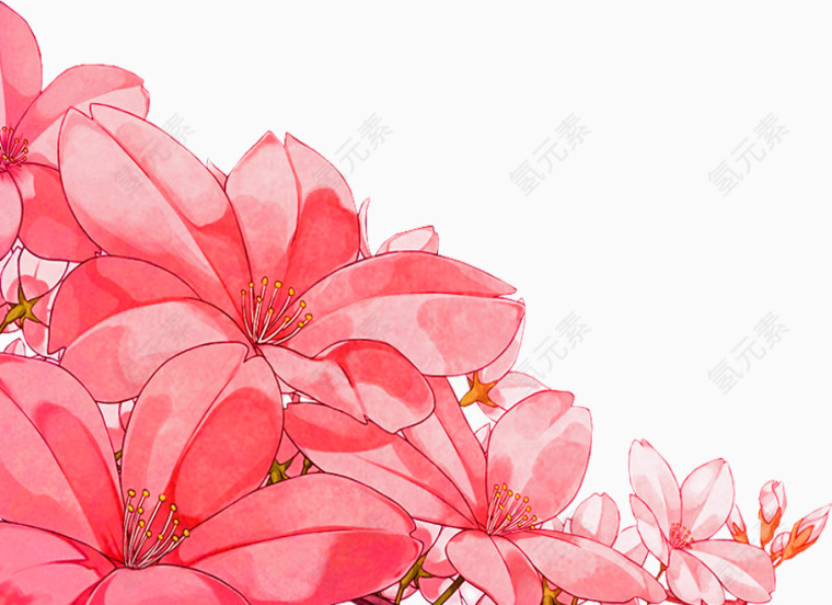 粉色鲜花花朵植物创意