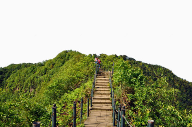 重庆永川茶山竹海风景下载