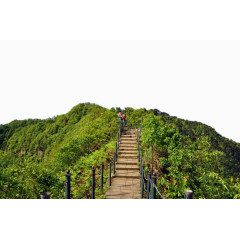 重庆永川茶山竹海风景