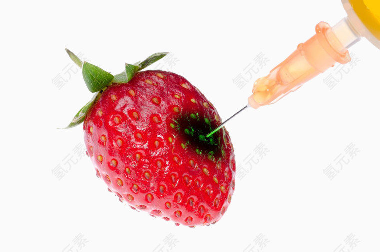 转基因草莓