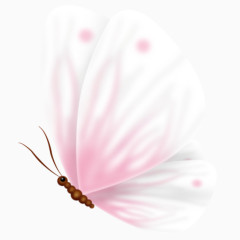 粉色手绘蝴蝶