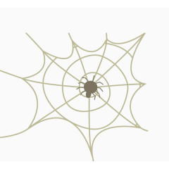 灰色蜘蛛网和蜘蛛