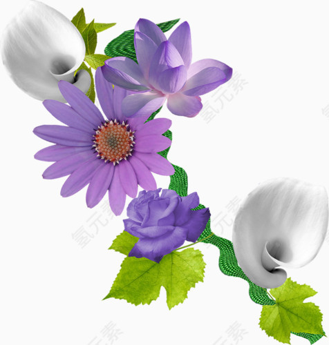 水彩花卉素材创意花卉图片