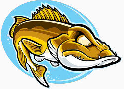 卡通手绘漂亮的金色鱼插画