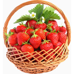 果篮草莓