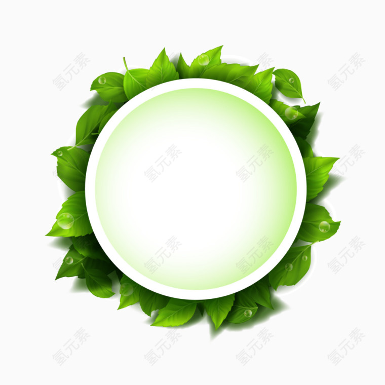 矢量绿色叶片圆环