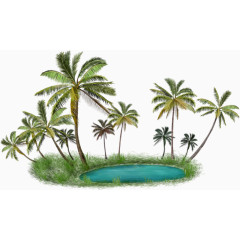 椰子树水池