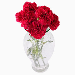 花瓶红色花