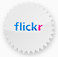 Flickr财富500徽章