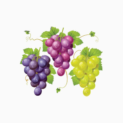 三种颜色的葡萄下载