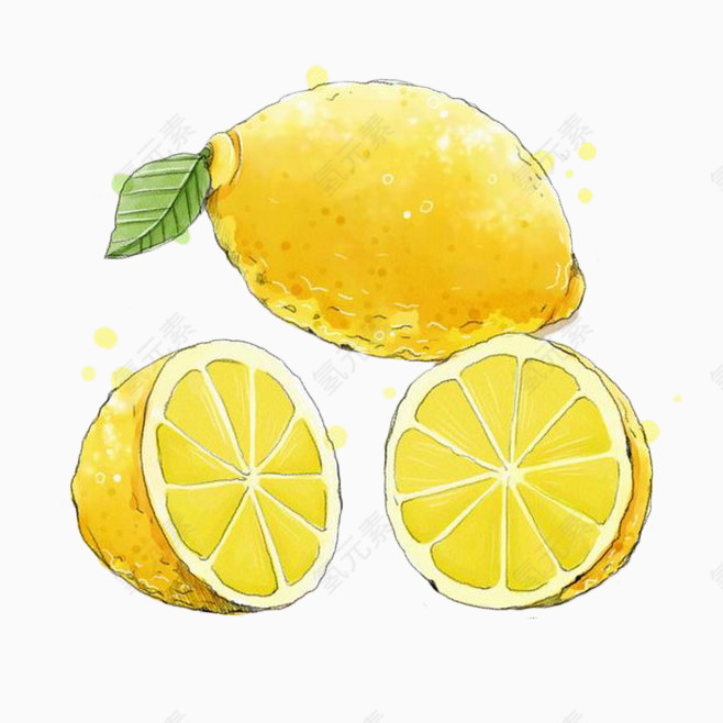 手绘黄色柠檬