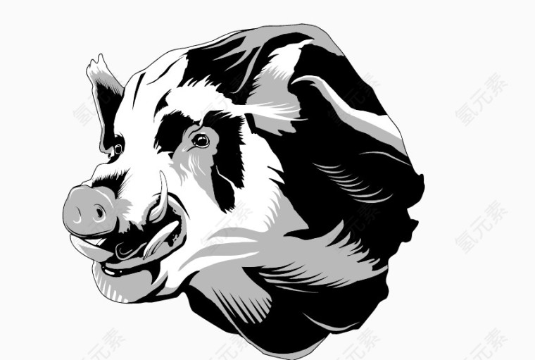 黑白色细腻手绘野猪