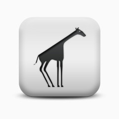 不光滑的白色的广场图标动物动物长颈鹿Animals-Icons