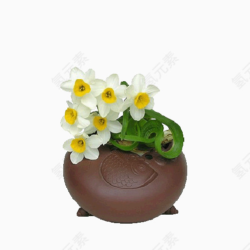 陶瓷盆栽白色小花
