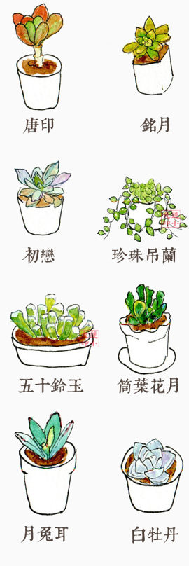 各类花卉