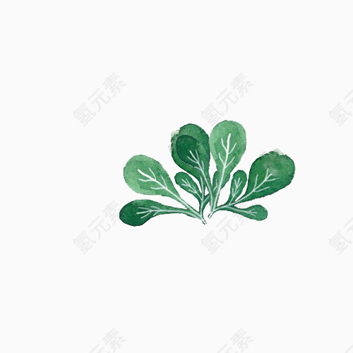 小清新简约手绘水彩绿色小青菜