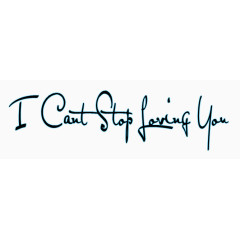 我不能停止爱你