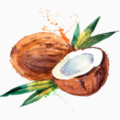 手绘水彩椰子