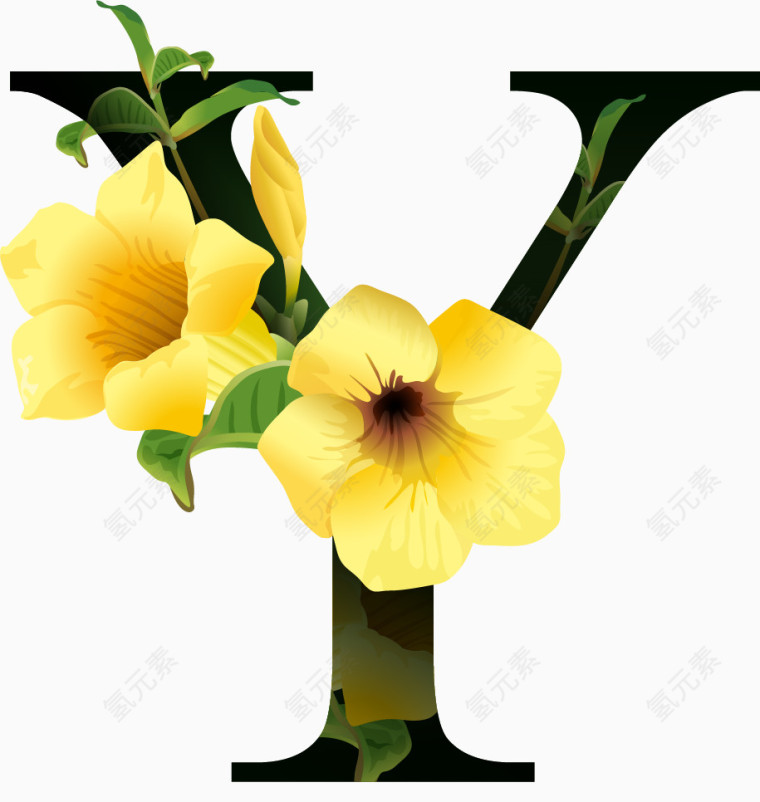 鲜花花纹字母Y