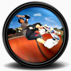 Tony Hawk s ProSkater 4 4 Icon