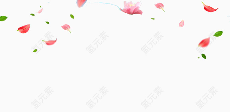 花瓣漂浮