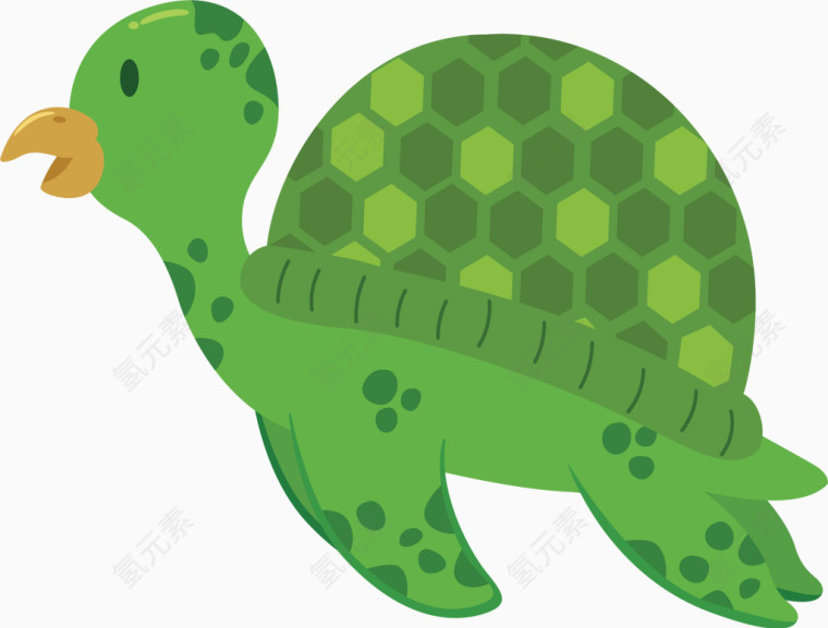 绿色的小乌龟