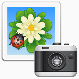 picture camera icon