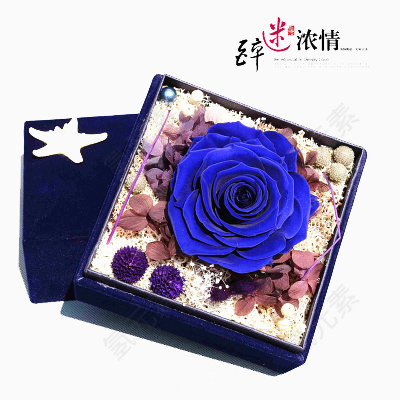 蓝色花朵礼盒礼物