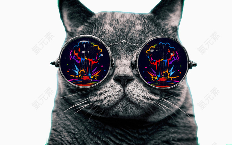 戴眼镜的时尚猫咪