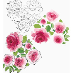 粉玫瑰水彩心形装饰元素