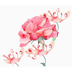 手绘水墨中国风粉色玫瑰花