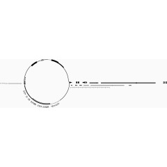 科技感圆形元素