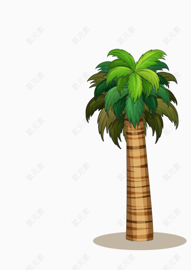精美沙滩椰子树