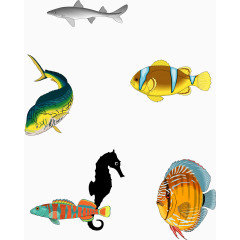 彩色海洋热带鱼