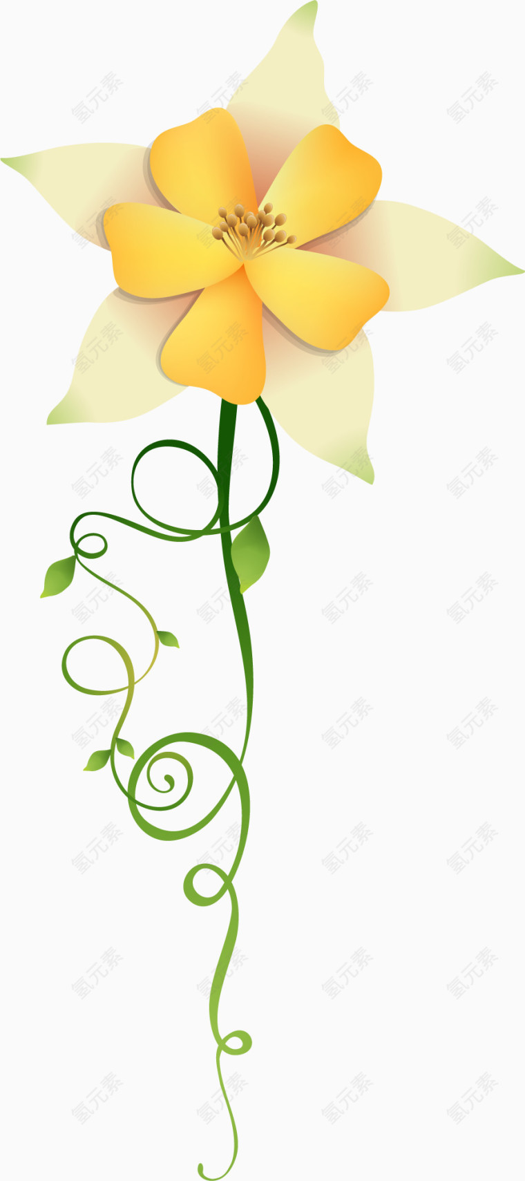 黄色花朵植物