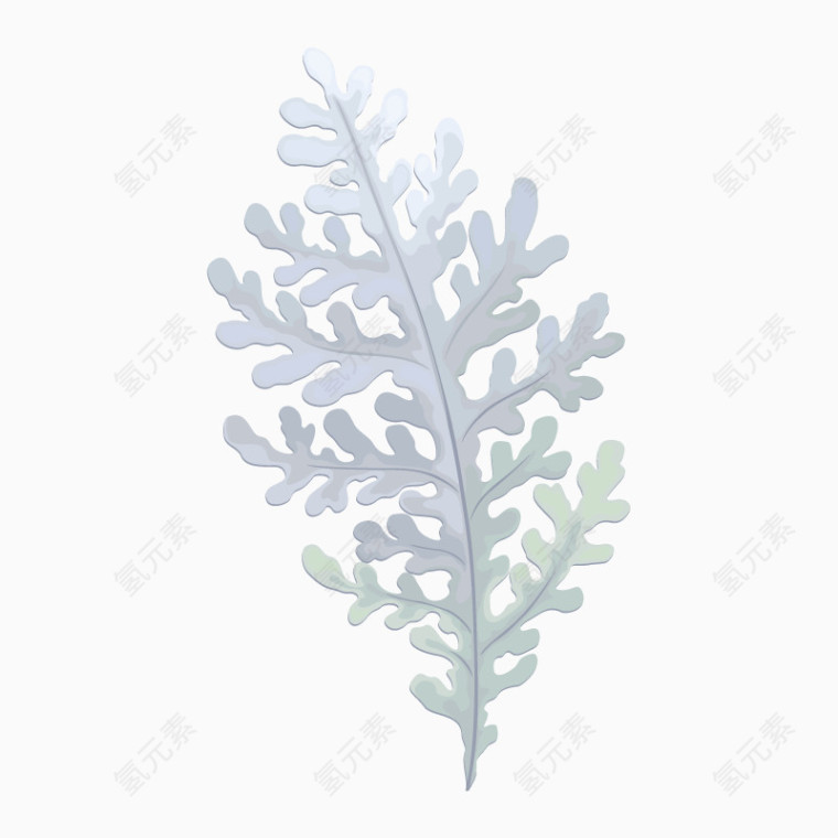 淡彩植物