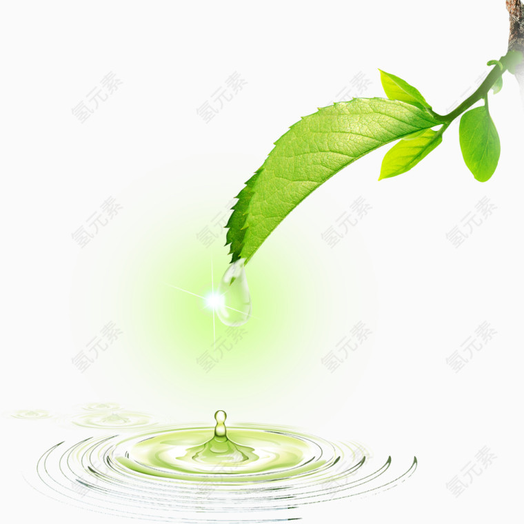 绿叶水滴