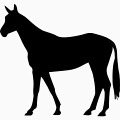 马瘦黑站形状的长尾巴向左图标