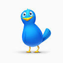 单鸟推特动物社会网络社会锡我的网站