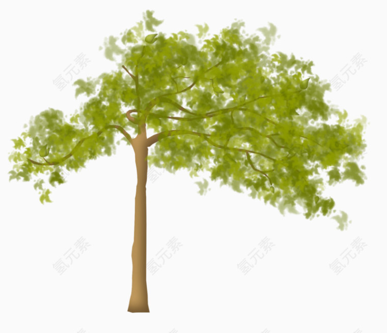 绿色小清新松树
