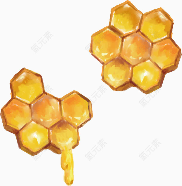 手绘蜂巢蜂蜜