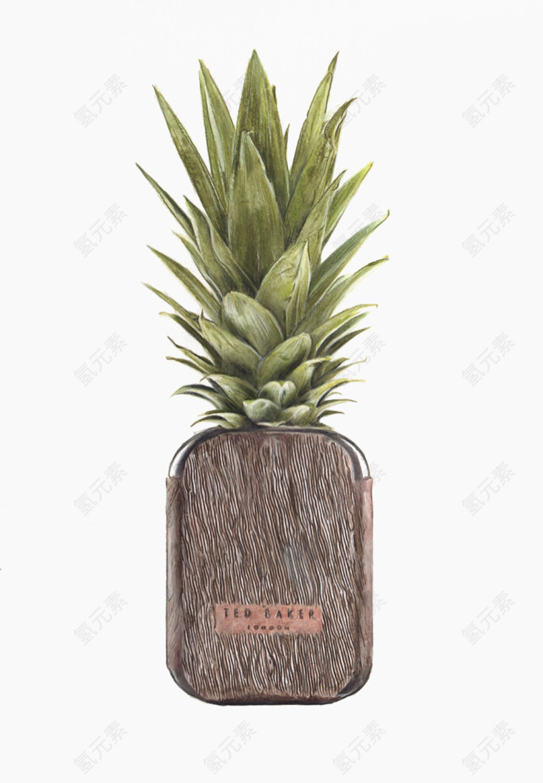 手绘创意菠萝