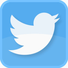蓝鸟遵循转发广场鸣叫鸣叫笨蛋推特推特鸟推特的标志推特符号具有原始色彩的社交媒体