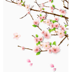 春天绿意桃花桃树枝