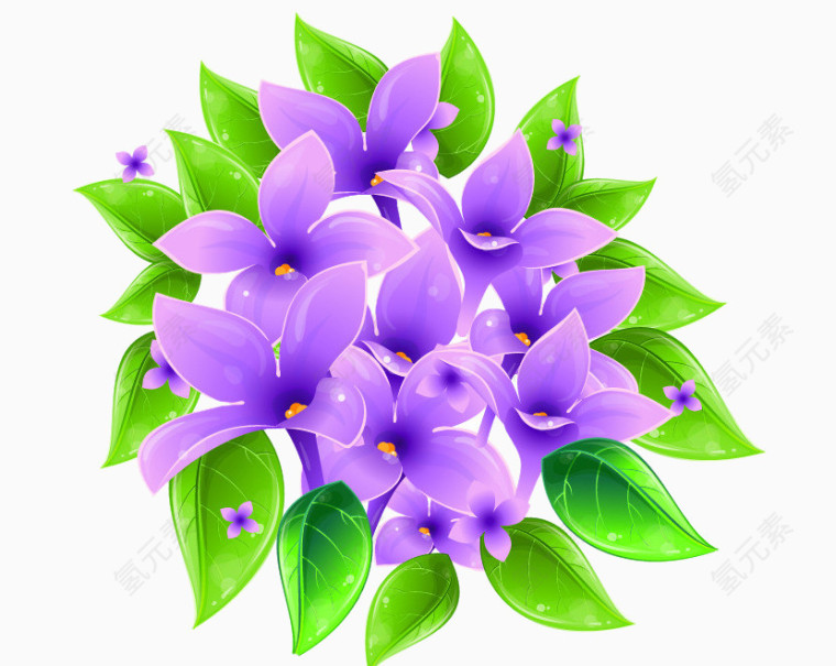 手绘紫罗兰花朵