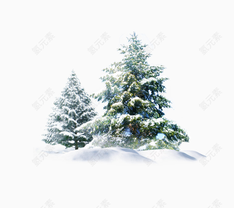 积雪圣诞树