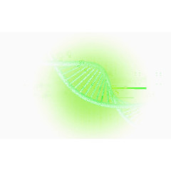 绿色基因链