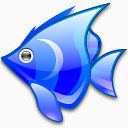 动物蓝色鱼暗玻璃