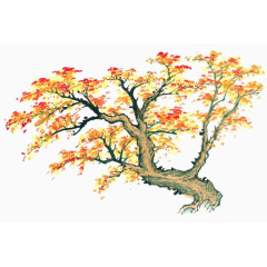 秋天枫树手绘