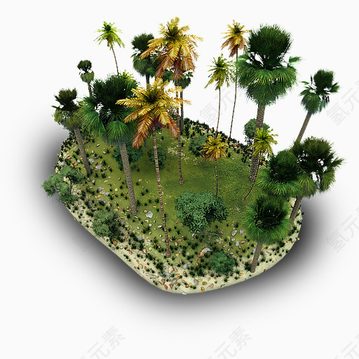 椰子树岛